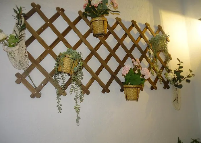 El Patio Del Museo *