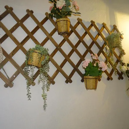 El Patio Del Museo *