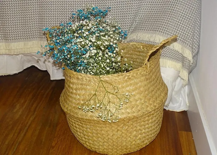 El Patio Del Museo *